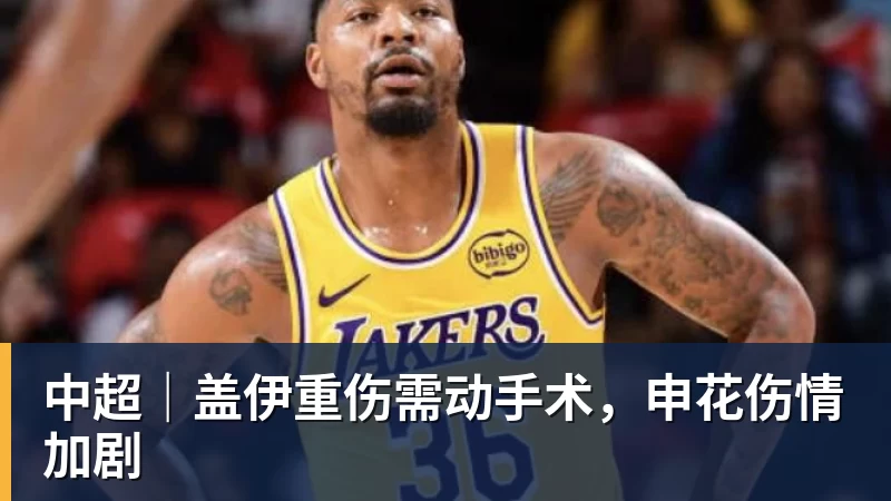 中超｜盖伊重伤需动手术，申花伤情加剧